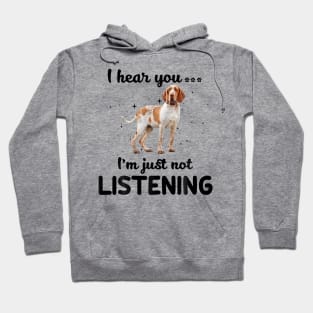 Bracco Italiano Lovers Hoodie